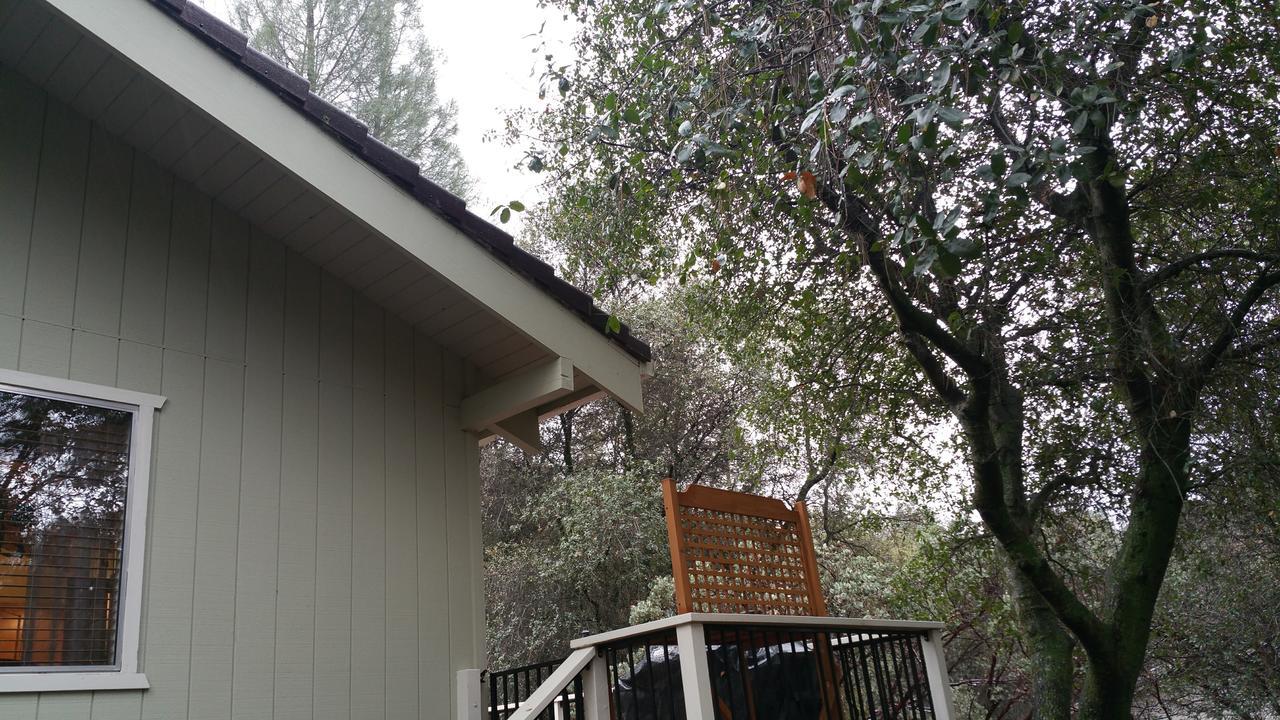 Lovely Mountain Lake Chalet By Yosemite: Equipped! Groveland Dış mekan fotoğraf